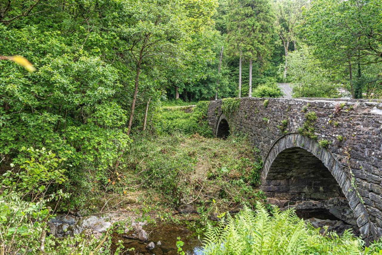 Вилла Waedog Bach Llanfor Экстерьер фото
